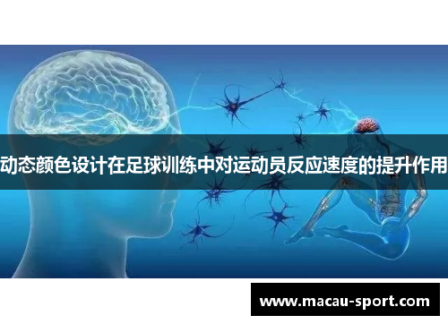 动态颜色设计在足球训练中对运动员反应速度的提升作用